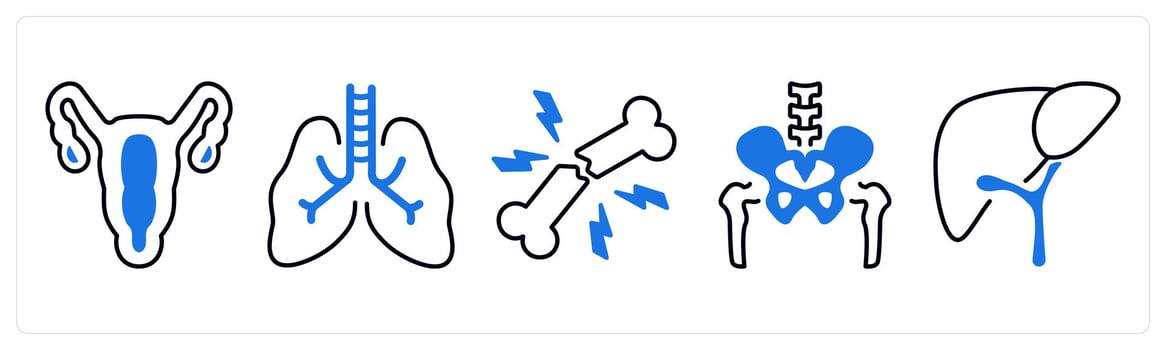 A set of 5 mix icons as gynecology, pulmonology, broken bone in blue color vector
