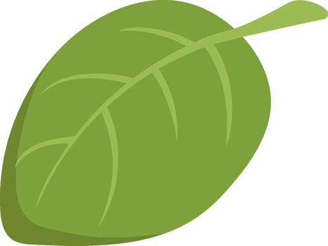 Salad Plant Leaf Icon vector