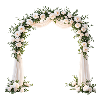 Elegant white rose wedding archway with fabric drapes. Perfect for ceremony backdrop. png