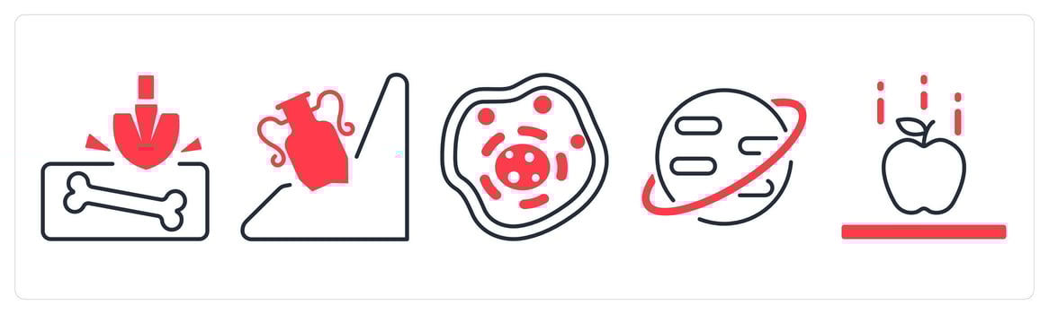 A set of 5 mix icons as fracture, history, biology in red color vector