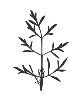 Openwork silhouette of dark leaf, isolated on white background. Imprint, stamp, ink. vector