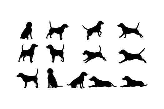 Beagle silhouettes various poses black white vector