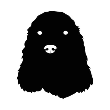 Black Cocker Spaniel Silhouette animal white vector