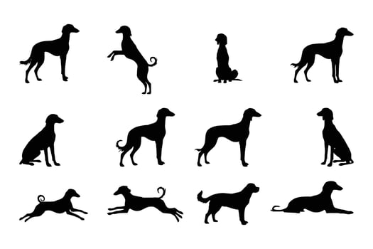 Greyhound dog silhouette vector