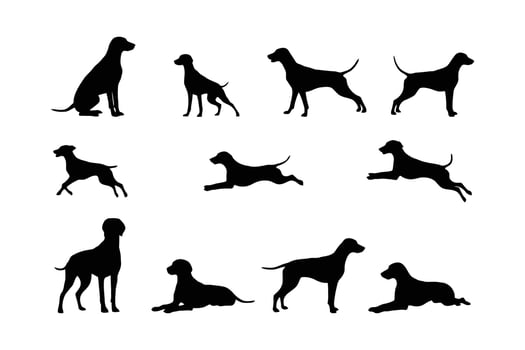 Dog silhouettes set illustration vector