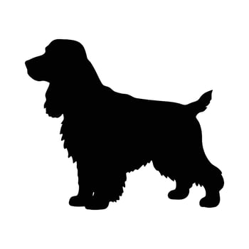 Black silhouette of a standing cocker spaniel animal white vector