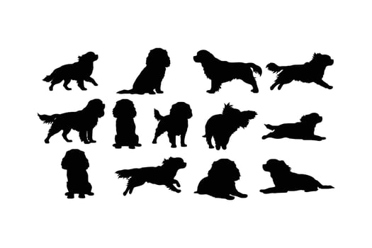 Black silhouettes of spaniels in various poses white vector