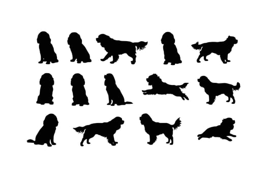 Cavalier King Charles Spaniel dog silhouettes various poses canine animal vector