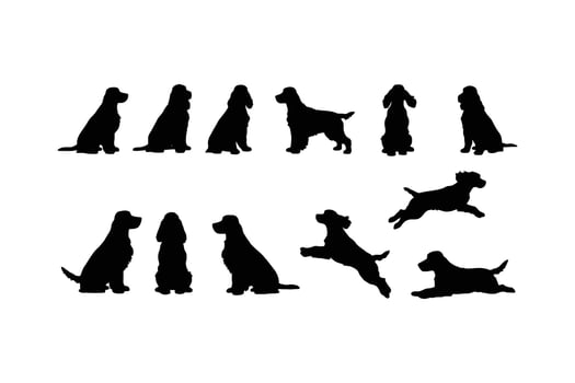 Cocker spaniel silhouettes various poses black vector