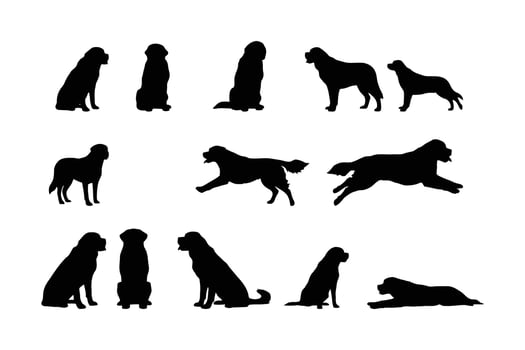 Saint Bernard dog silhouettes various poses black vector