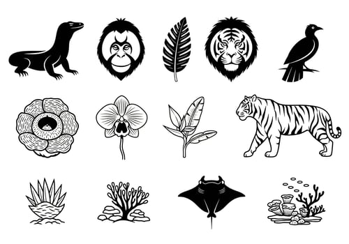 Borneo Wildlife Icons Black And White. vector