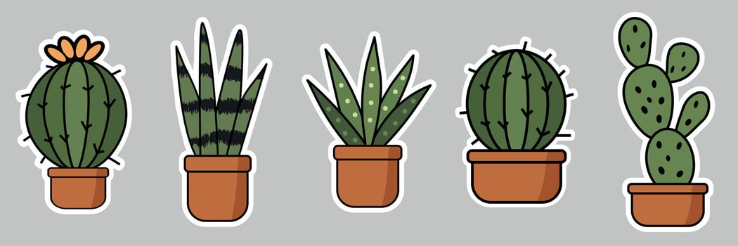 various potted cacti and succulents vector