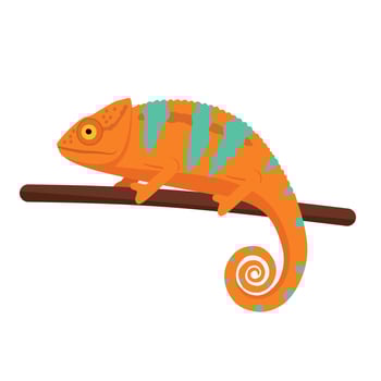 Colorful chameleon with orange and turquoise skin resting on a branch. Great for educational materials, children books, or animal-themed designs vector