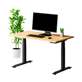 Modern Workspace with Desk, Computer, Plant, and Minimalist Design Elements png