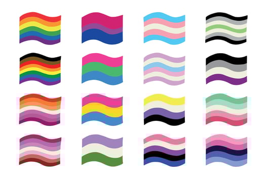 thirty one Set of colorful LGBTQIA pride flags Gender equality and sexual identity pride flags collection LGBTQIA community pride month vector