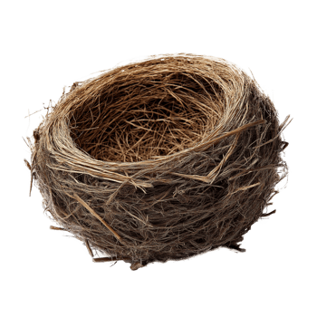 Organic Bird Nest. Nature-Inspired Element for Wildlife and Spring Concepts png