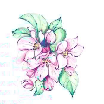 Watercolor japanese cherry blooming, sakura art. Apple tree bouquet from white background. vector