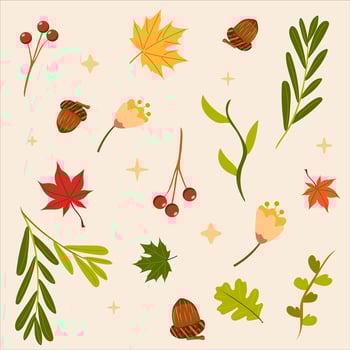 Autumn set. Acorns, maple and oak leaves, red berries, fall herbs. For autumn crafts, seasonal cards, kids projects, wrapping paper. vector