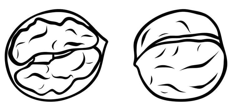 set simple walnut and half walnut icon, black and white hand-drawn icon, doodle and sketch style vector