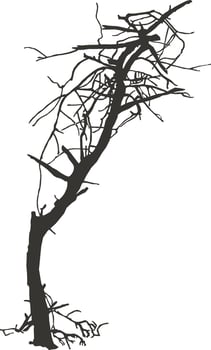 Broken tree silhouette vector