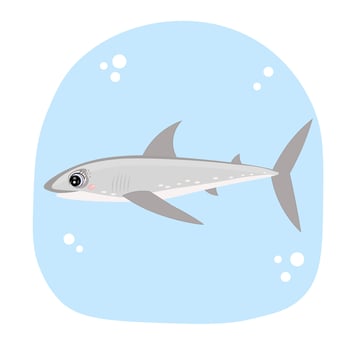Cute shark. Illustration for printing, backgrounds, covers and packaging. Image can be used for greeting cards, posters, stickers and textile. Isolated on white background. vector