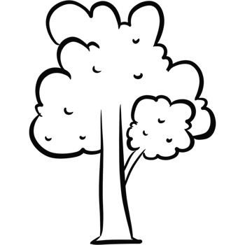 Cartoon Tree Clipart Outline Simple Drawing png