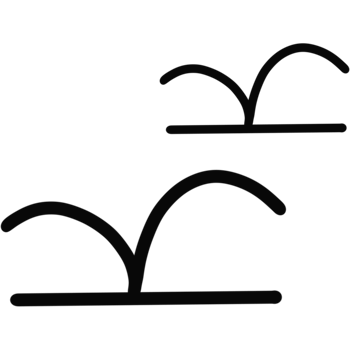 Two Minimalist Birds Black Line Doodle Style png