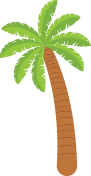 Tropical Palm Tree with Cartoon Style vector