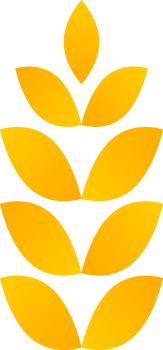 Yellow gold wheat rice png