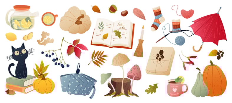 Autumn elements with cat, pumpkins, and leaves vector
