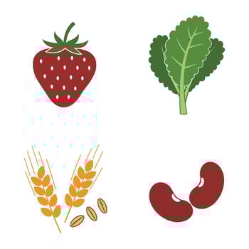 Strawberry, lettuce, wheat, and beans vector