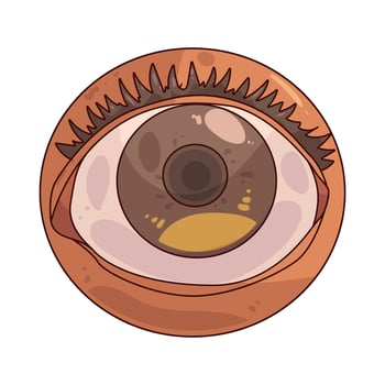 human eye anatomy illustration vector