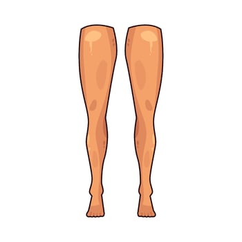 illustration of an human legs vector