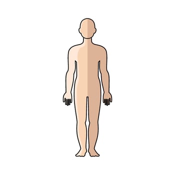illustration of neutral body vector