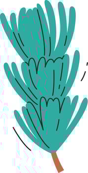 Conifer Tree Branch Hand Drawn vector