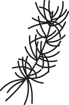 Fir Tree Branch Silhouette Icon vector