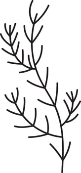 Fir Tree Branch Silhouette Drawn Icon vector