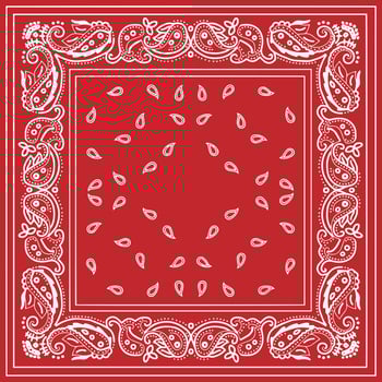 Paisley Ethnic Floral Hand Drawn bandana, handkerchief vector