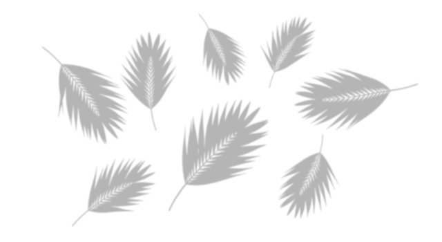 Realistic scattered palm leaf shadows. Natural tropical foliage silhouettes isolated on transparent white background. Design element for summer spring project pattern. png