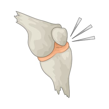 Illustration of an Human joint vector