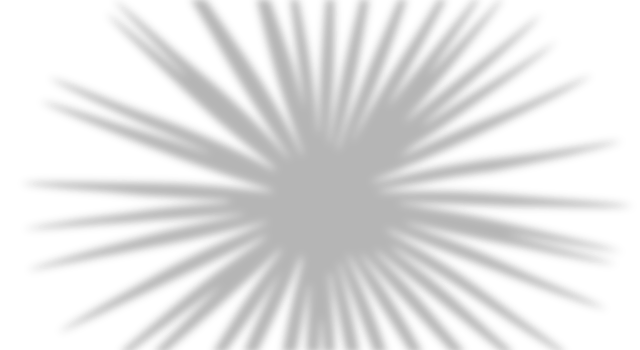 Realistic fan palm leaf shadow overlay. Natural tropical silhouette isolated on transparent white background. Design element for summer spring project or abstract background png