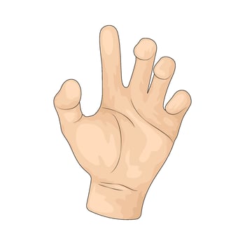 Illustration of an Human palm hand vector