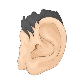 Illustration of an Human ear vector