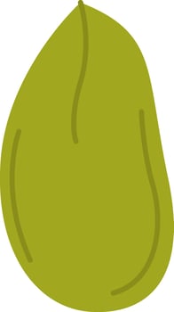 Pumpkin Seed Icon vector