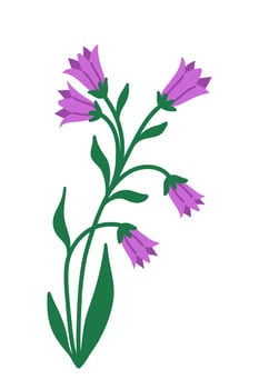 Isolated Purple Bellflower, Flat Illustration vector
