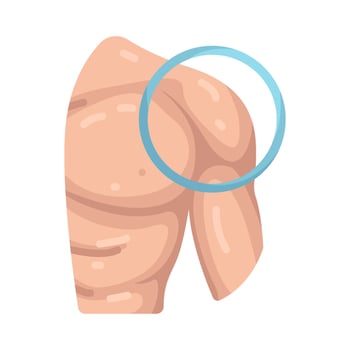 Illustration of Arm and Shoulder vector