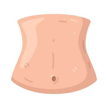 Illustration of a Human Stomach vector