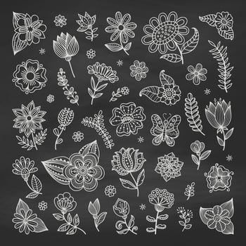 Set of floral elements on the chalkboard. Chalk elements for design, wedding decor. Vintage background. Sketch flowers and leaves. Greeting card illustration. vector