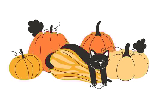 Black cat with pumpkins in autumn vector