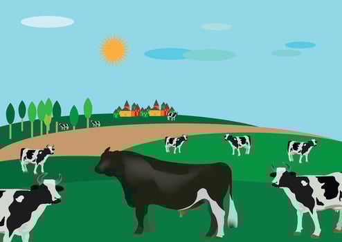 Bull and cows grazing in green pasture on sunny day near village vector